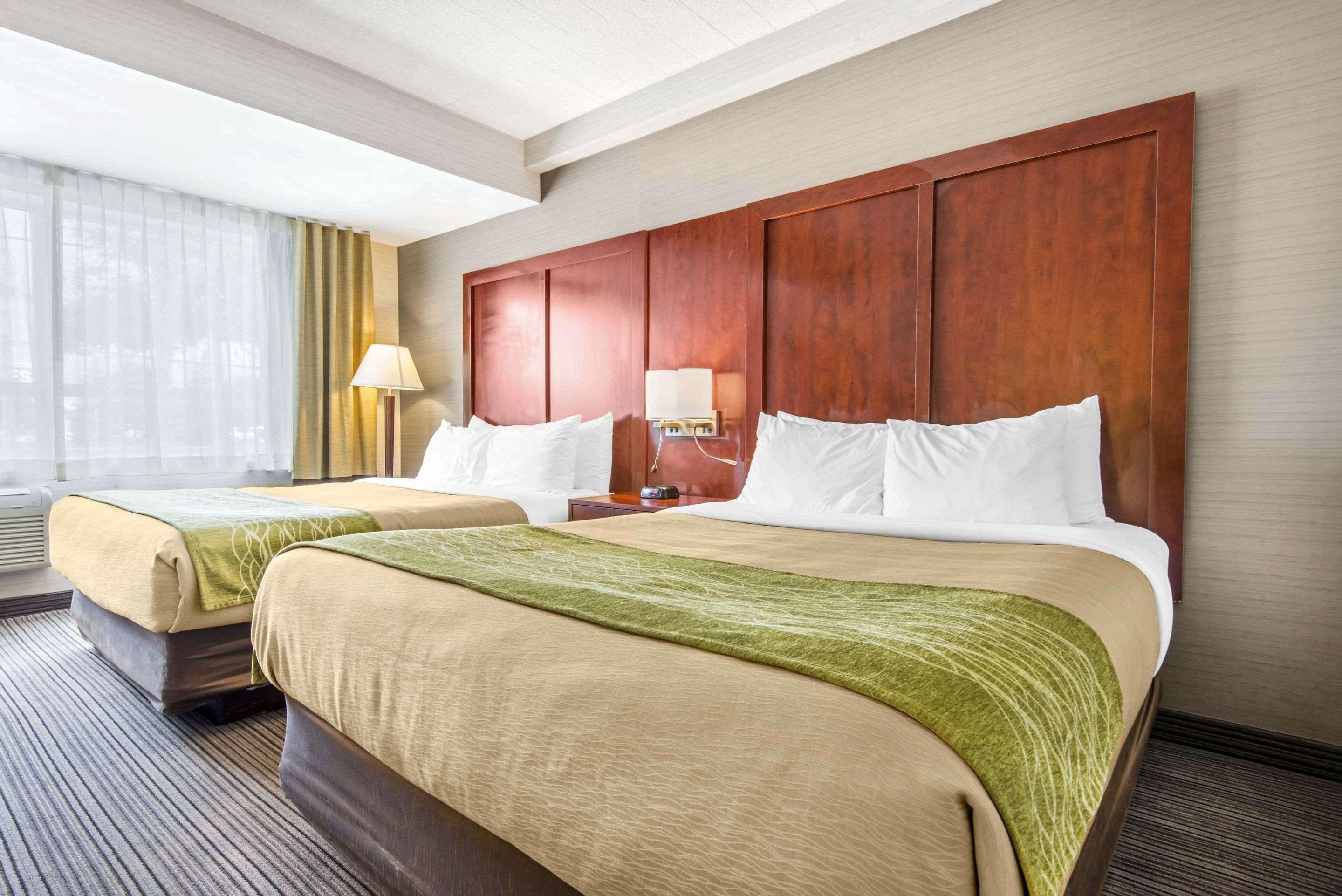 Comfort Inn & Suites Collingwood Εξωτερικό φωτογραφία