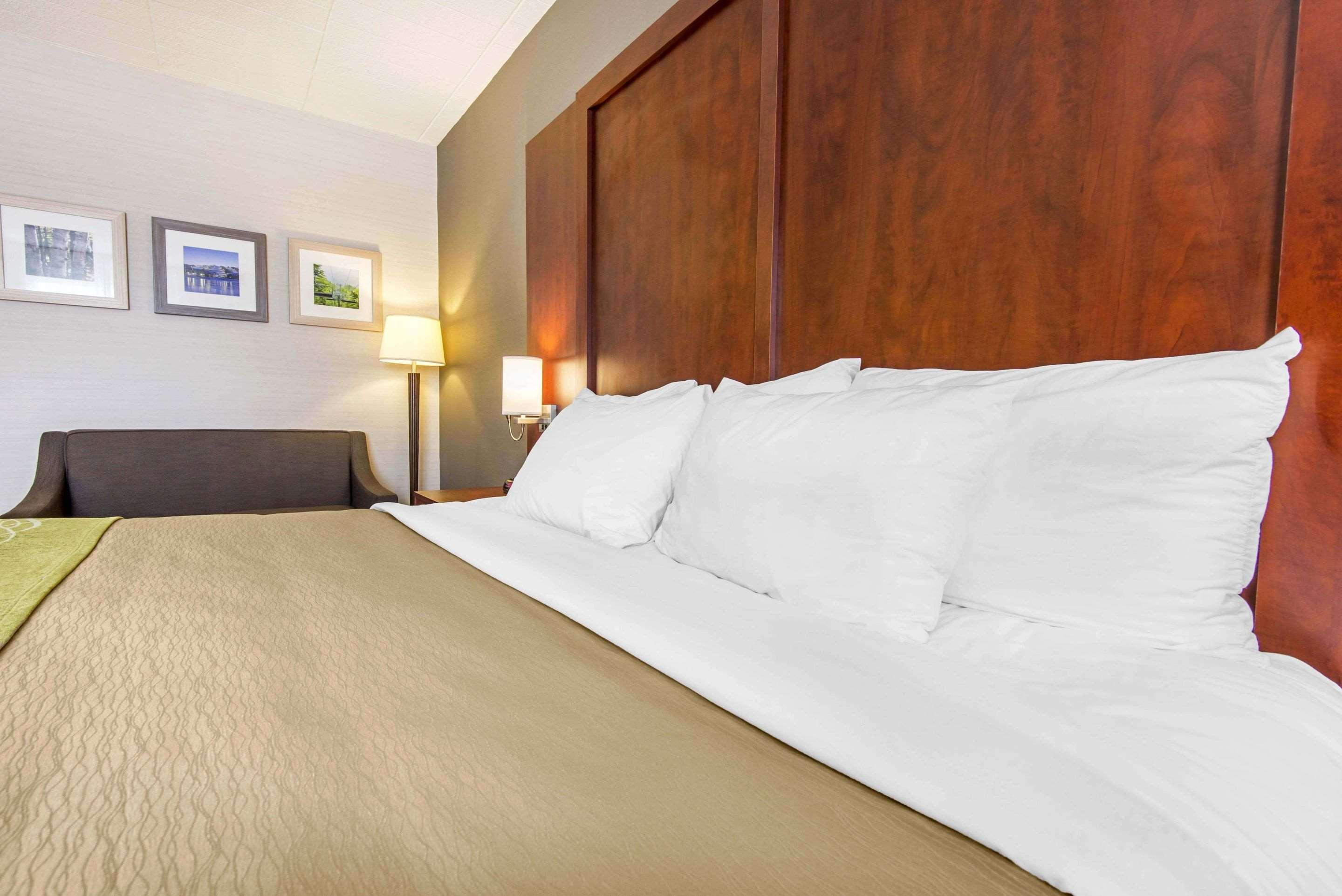 Comfort Inn & Suites Collingwood Εξωτερικό φωτογραφία